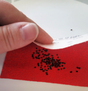 hand about to fold red sandpaper in half with seeds in it