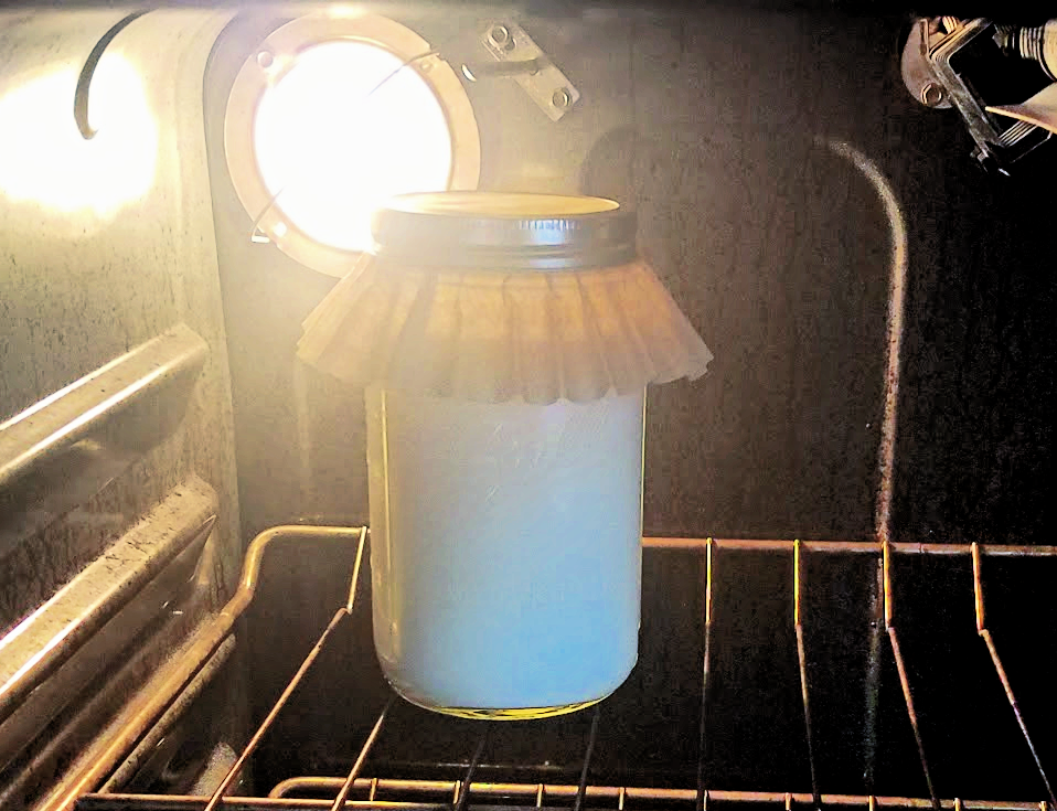 jar of yogurt covered with coffee filter secured with canning ring in oven with light on